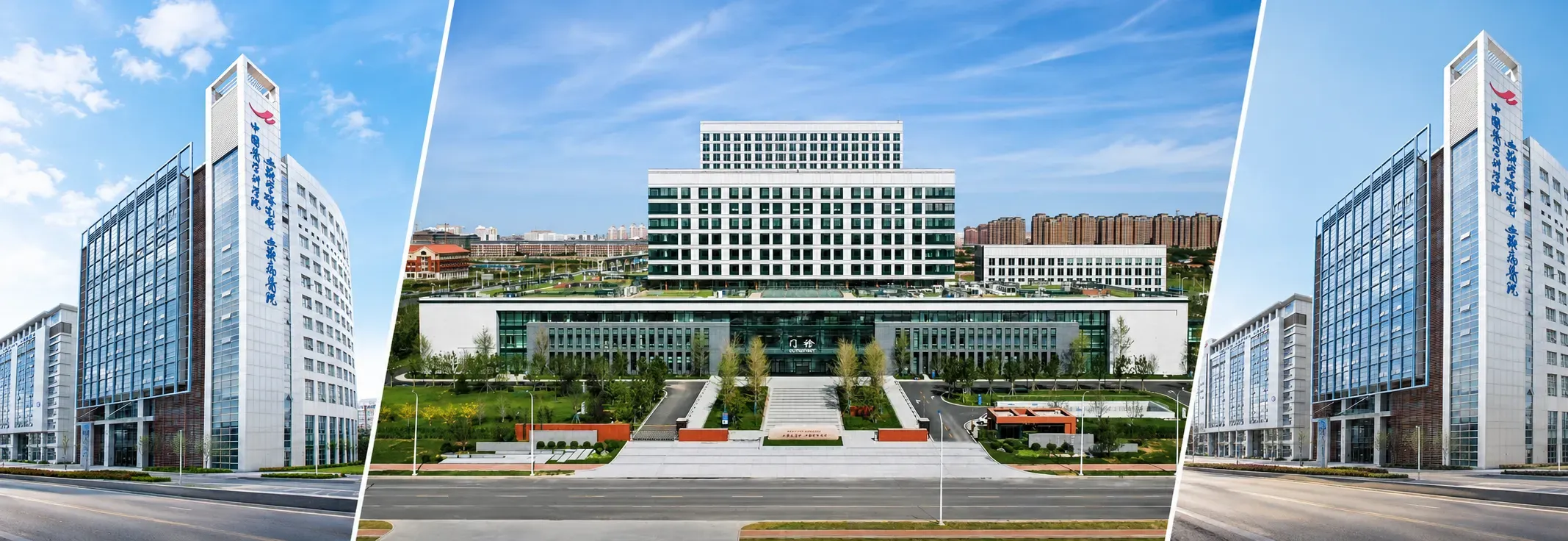 Institute of Hematology and Blood Diseases Hospital