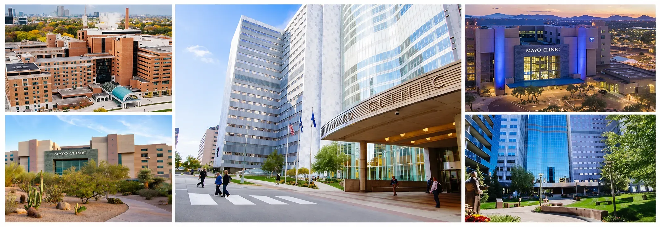 Mayo Clinic