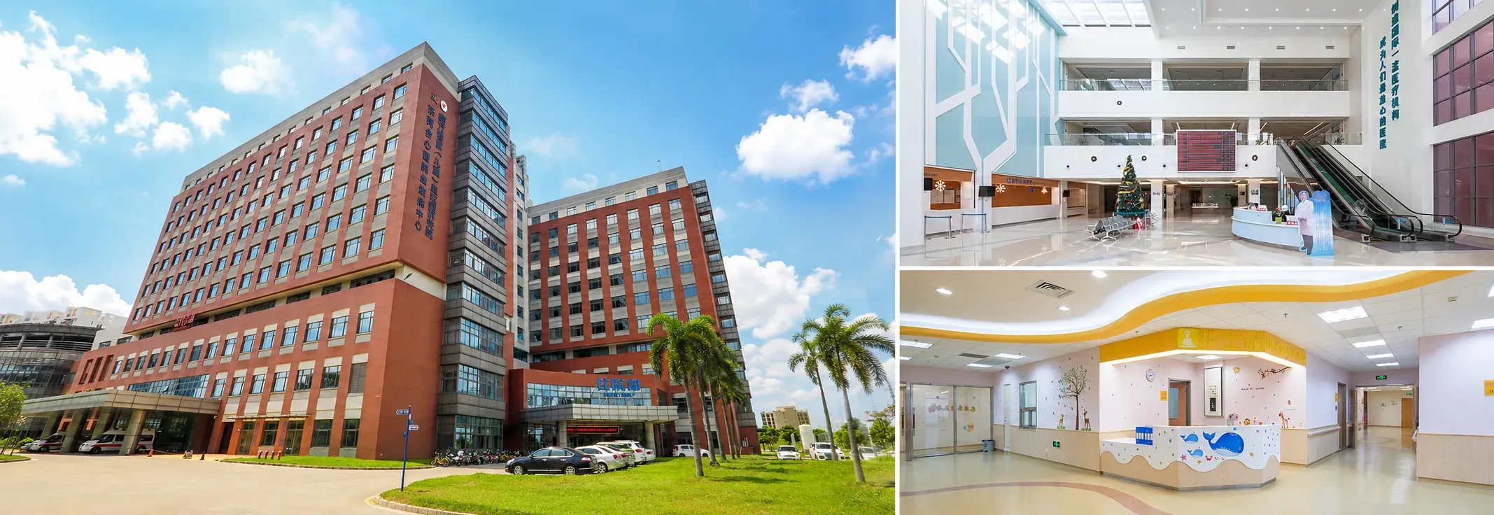 Nanfang-Chunfu Children's Institute of Hematology & Oncology