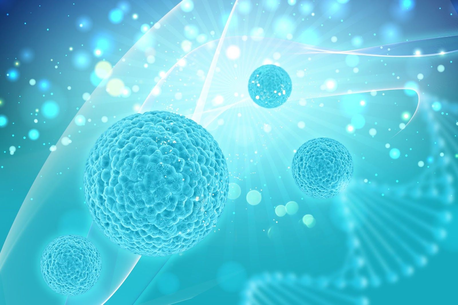What Is Lymphoma?