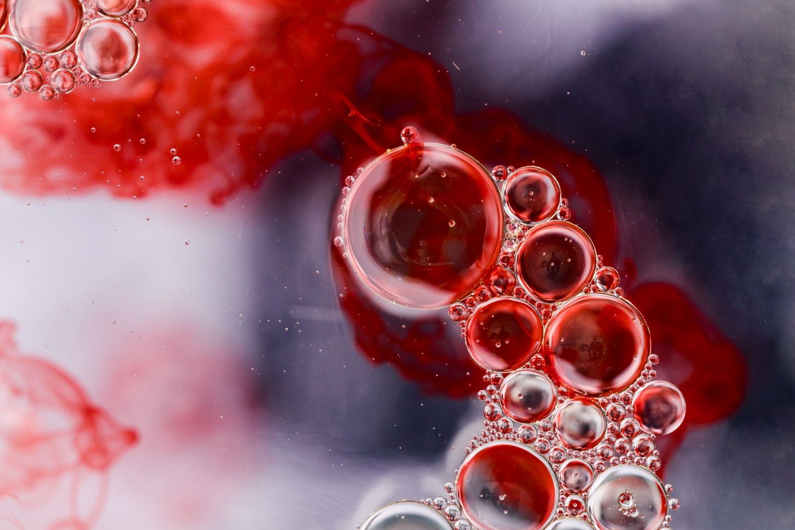 Understanding Blood Cancer: Types, Symptoms, and Diagnosis