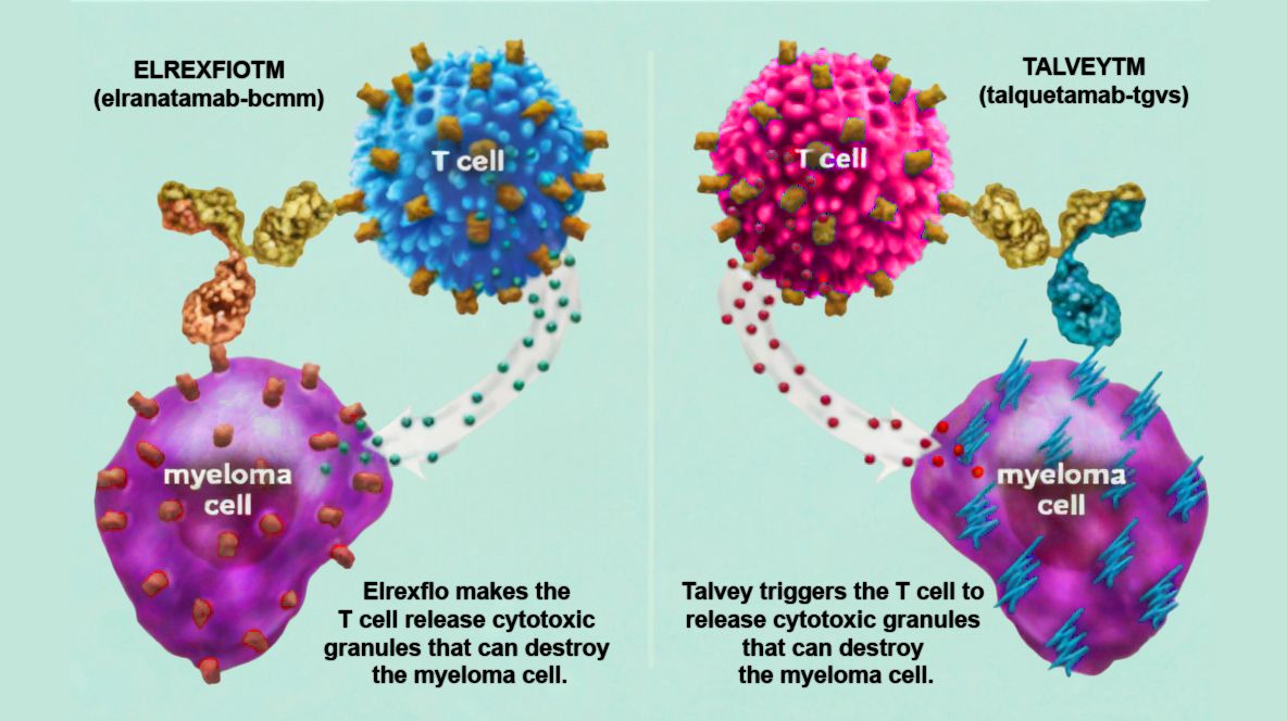 The Science Behind FUCASO Treatment For Multiple Myeloma In China
